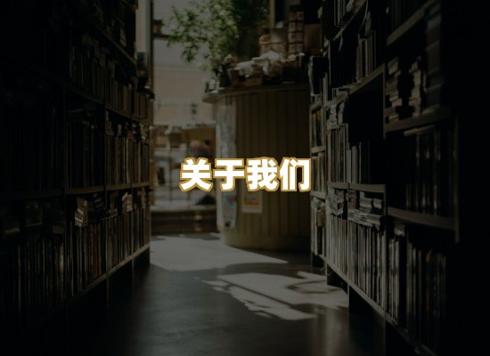 关于我们